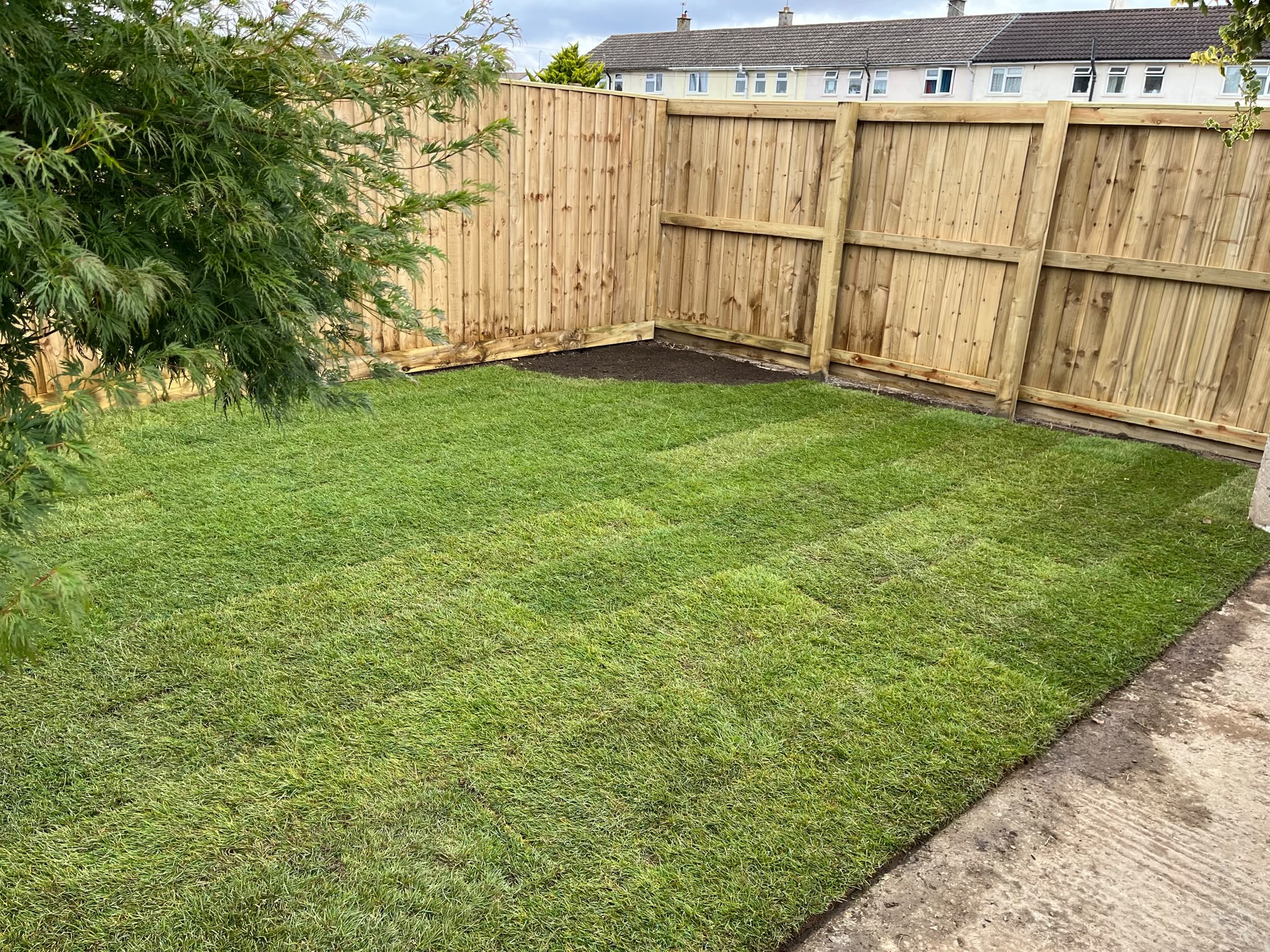 Newly laid turf rolls with visible seams beside a new light timber closeboard fence corner