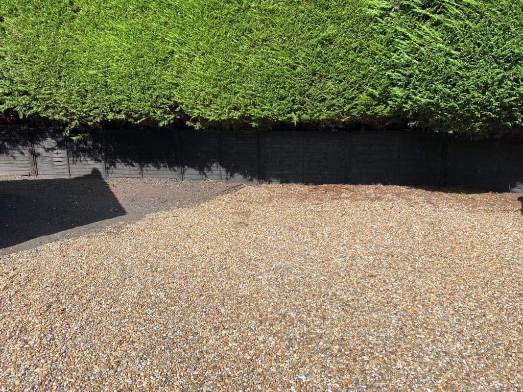 Light tan pea gravel laid in front of a dark wooden fence and tall dense green conifer hedge